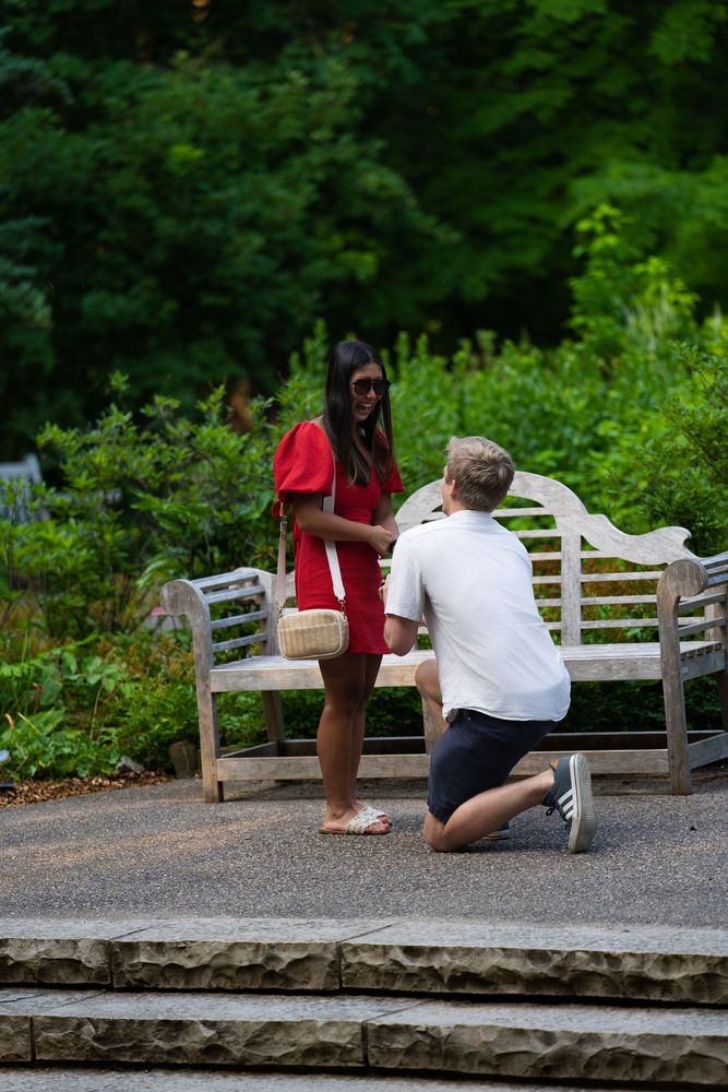 Proposal on a garden bench