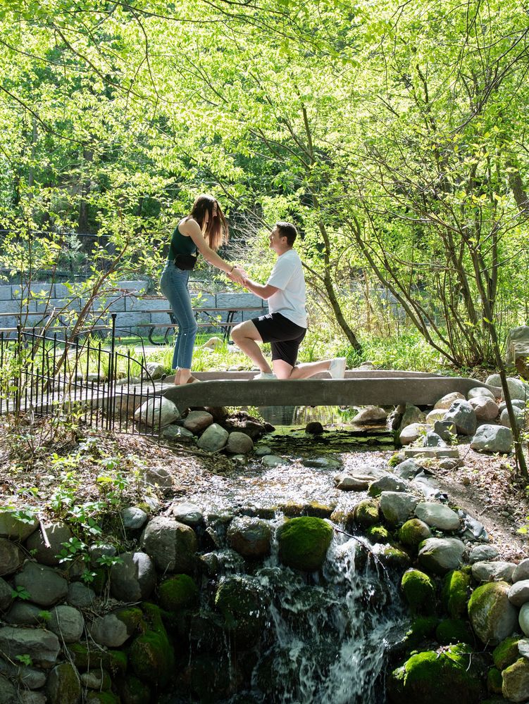 Proposal in a garden beside a small stream