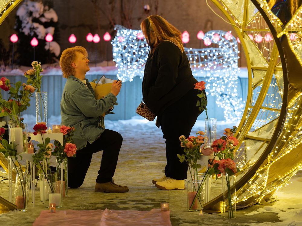 Proposal among winter light displays